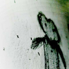 perkk$