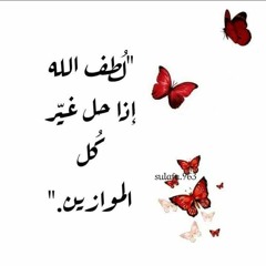 Aya Salah