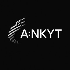 DJ_ANKYT