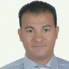 Hany Heshmat