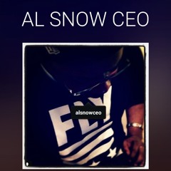 Al Snow CEO