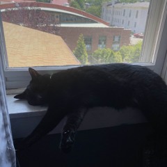 snugzu