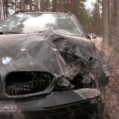 Patriks Litavnieks