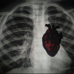 NoLoveNico