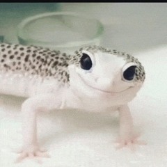 samuwu