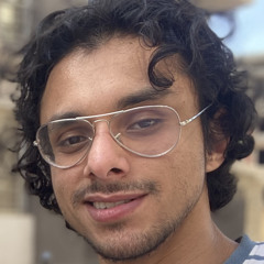 Karim Diaa