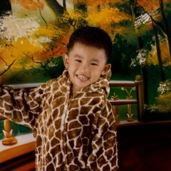 Leo steven Wijaya
