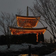 RIKAMI