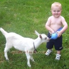 .🍀i .X̌Ř🪳X̌Ĥ. i🌈.