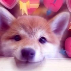 @fattt