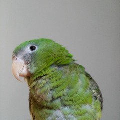 Jhonatan