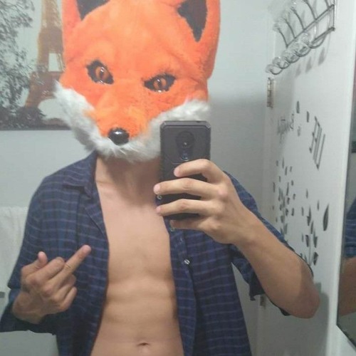 DJ Social fox 🦊’s avatar