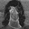 whoawhoami?