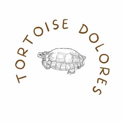 Tortoise Dolores