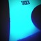Pollete_543
