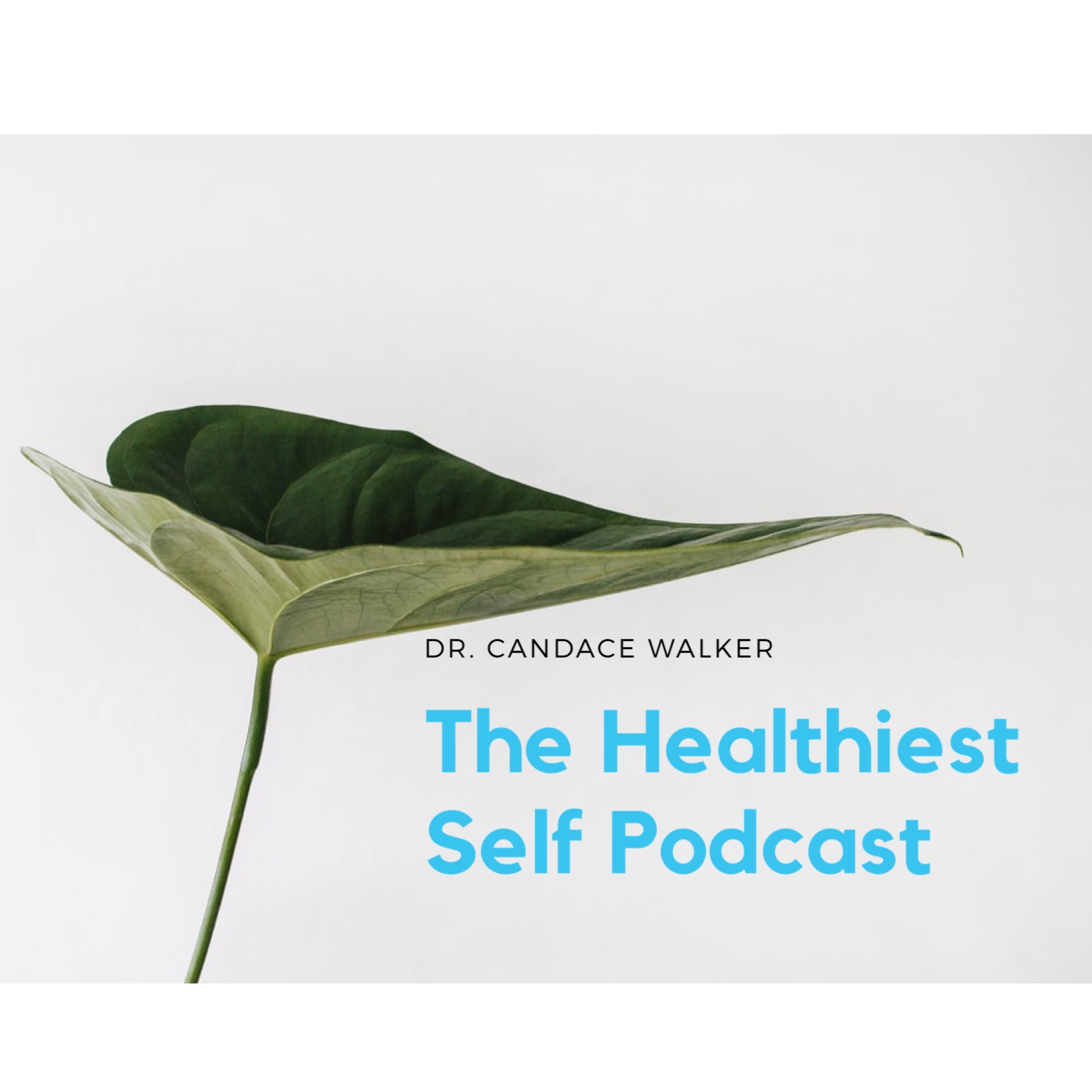 Healthiest Self Podcast