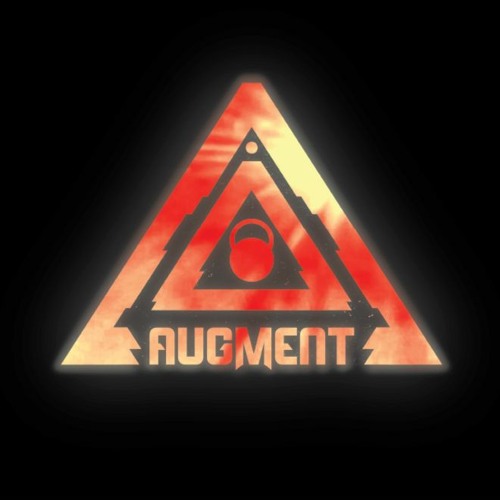 Augment’s avatar