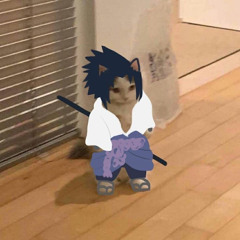 Live your life please