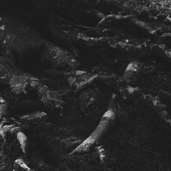 Ulanbataar steppes aside