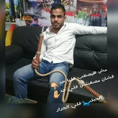 Mohamed Rafat elbnhawy