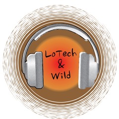 LoTech & Wild