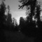 Solitude ᯓ★