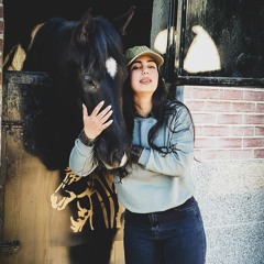Elham Soltan Ahmadi