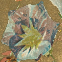 (Alternative/Indie)八雲橋かつなり(Katsunari Yakumobashi)