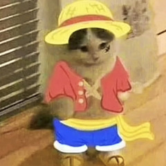 Kiwizz