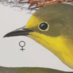 StarEater_666