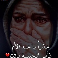 طه محمود عزام