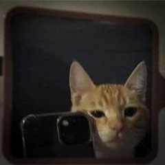 Nguyễn Hoàng Khoa