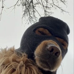 moi