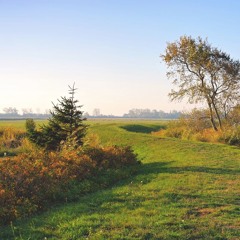 Maroon 5 -Love Somebody (Piano Cover)