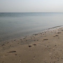 Fatimah M Alqadheeb