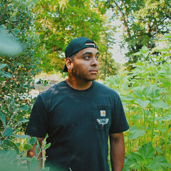 THESCOUTMUSIC