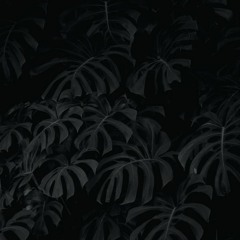 scorpio.s0ul