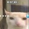 mihnbao