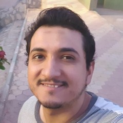mohamed Metwalli