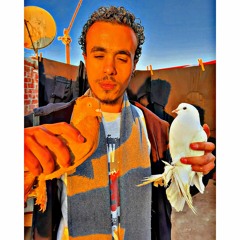 Mahmoud Elsaed