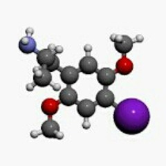 Zig-zag-condensine in holistic transcription