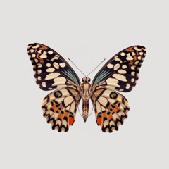 elodie.js