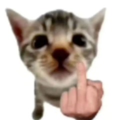 4444