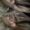 beatriz