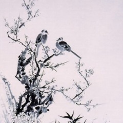 김연우 - 얼마나 아름다운지