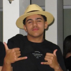 Joao pedro Ribeiro