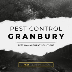 Pest Control Granbury TX
