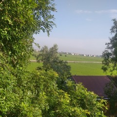 hansosad.:)