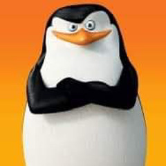 Skipper