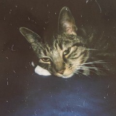 Destroyer of Planets 2